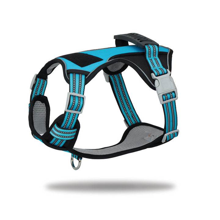 Dog Harness