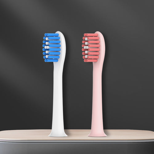 Precision Replacement Toothbrush Head Bowlift