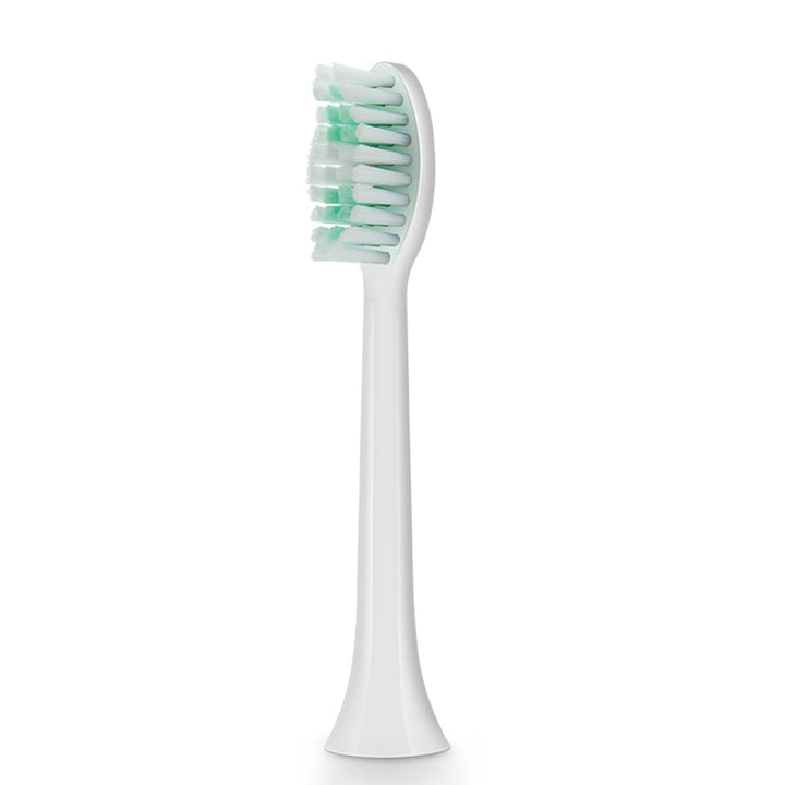 Replacement Toothbrush Head Bowlift