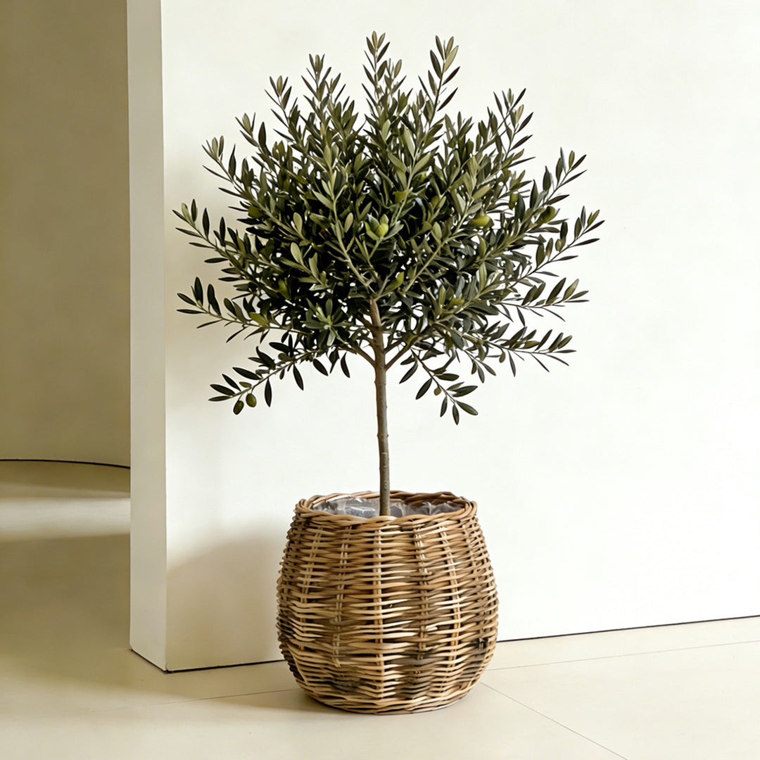 Handcrafted basket with natural flair Bowlift