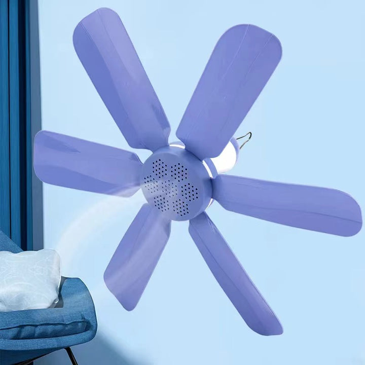 Ladies Ceiling Fan Bowlift