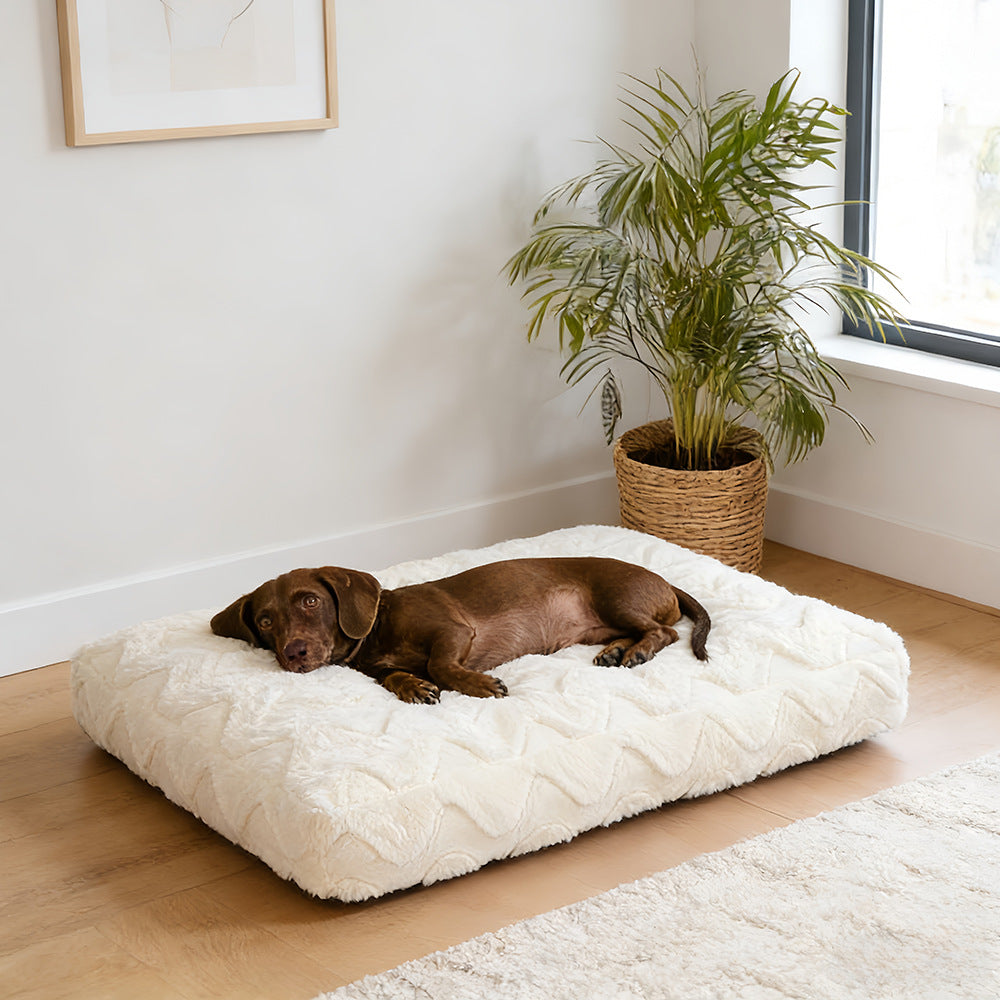Soft Textured dog Cushion