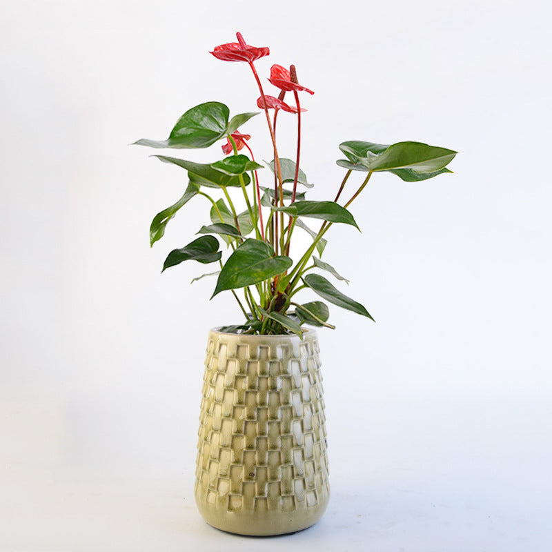 Decorative Flower Pots Bowlift