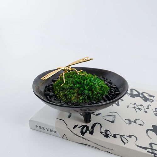 Decorative Botanical Display