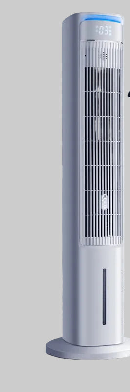 Ladies Tower Fan Bowlift