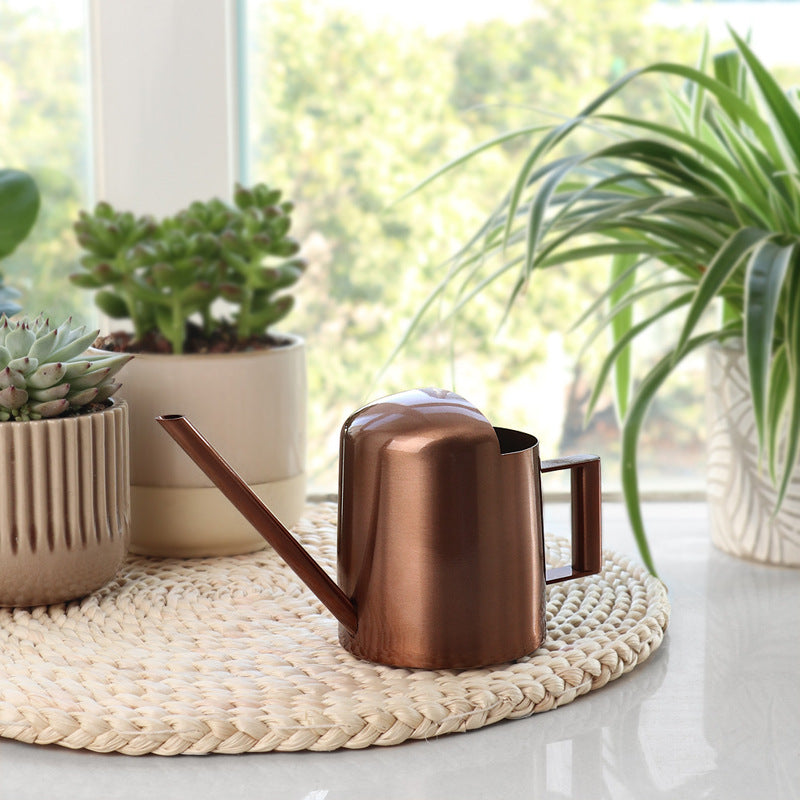 Modern Stainless Steel Watering Can