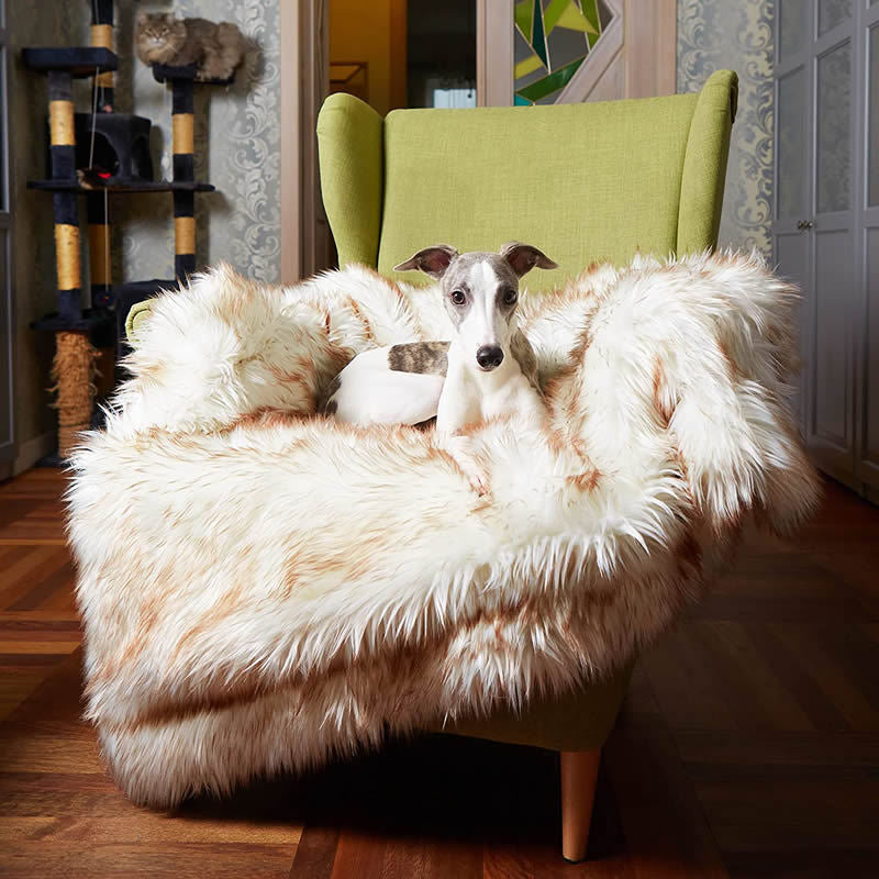 Unisex Snuggle Blanket Bowlift
