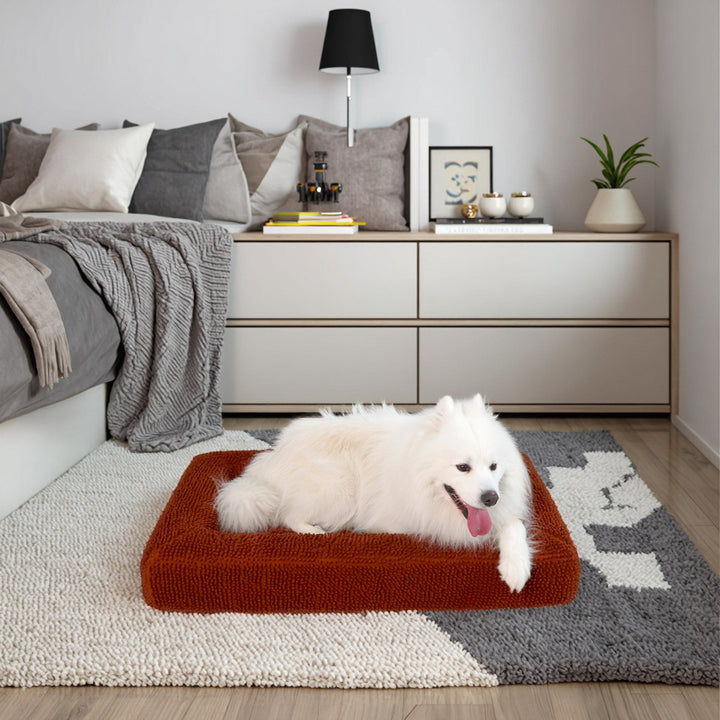 Elevated Orthopedic dog Cushion