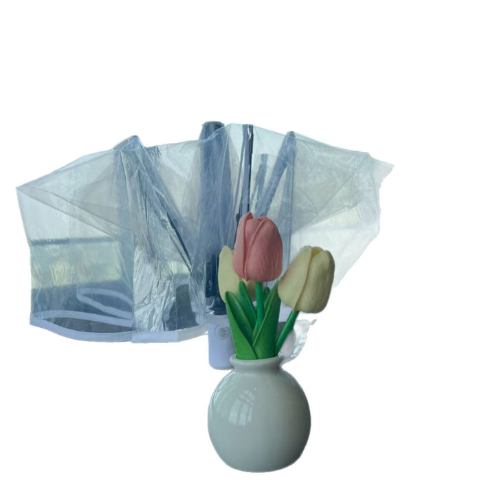Ladies Transparent Rain Umbrella Bowlift