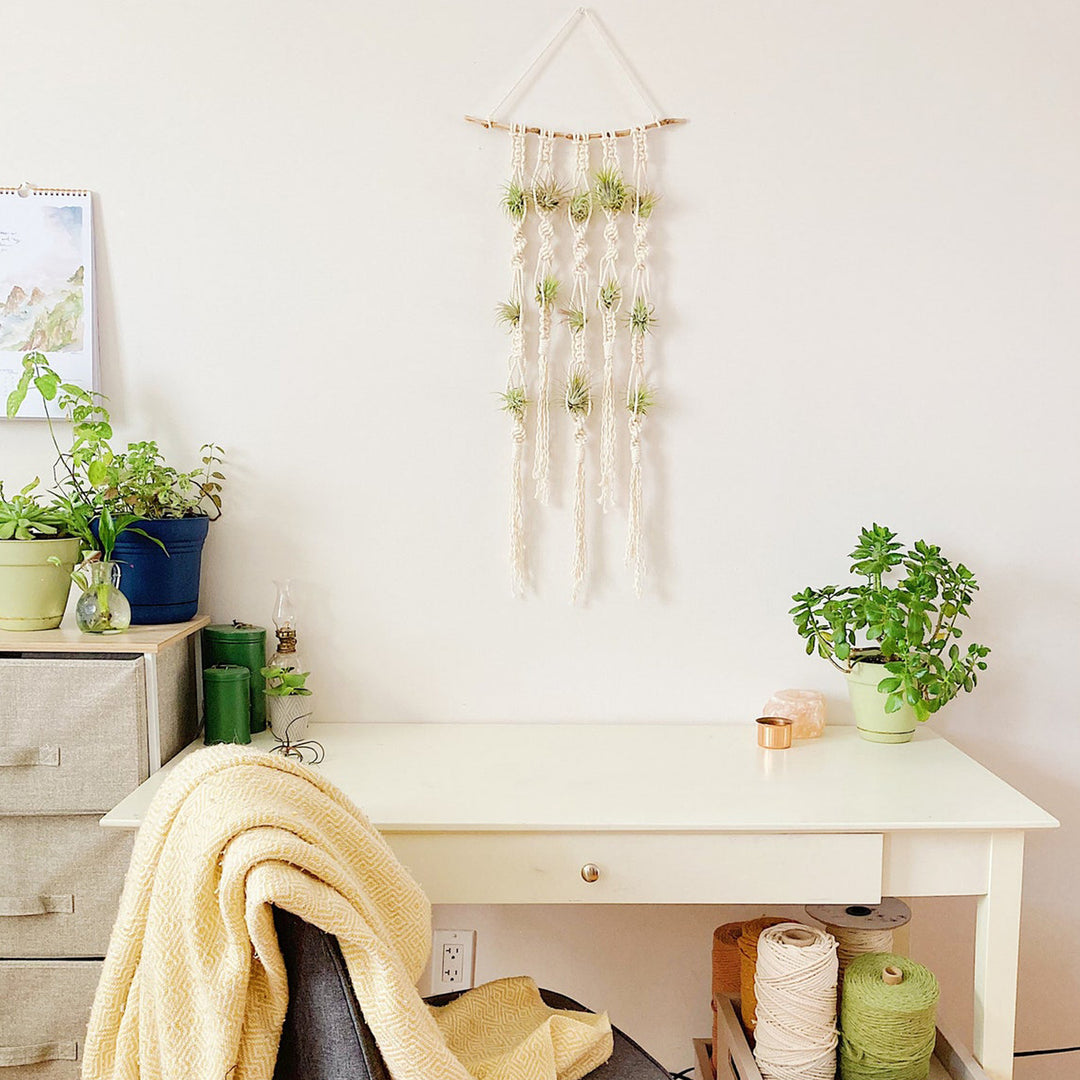 Macrame Plant Wall Hanging Organizer Bowlift