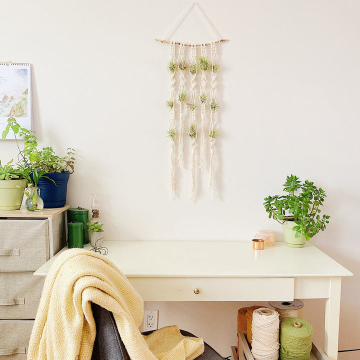 Macrame Plant Wall Hanging Organizer Bowlift