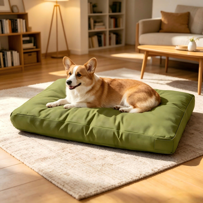 Memory Foam Dog Bed