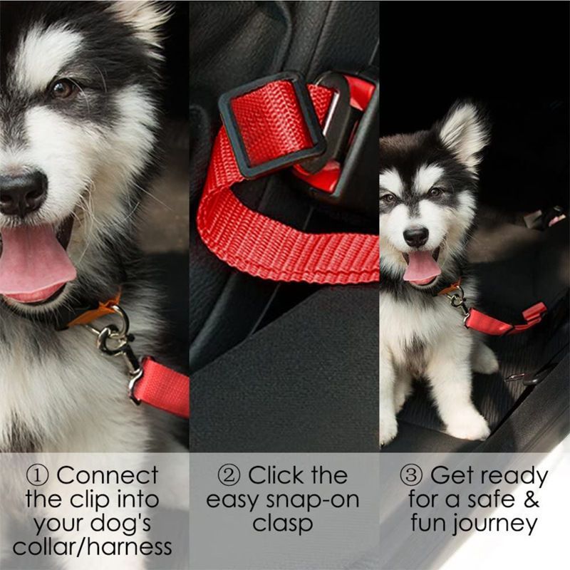 Adjustable Vehicle Dog Seatbelt Tether with Swivel Clip Bowlift