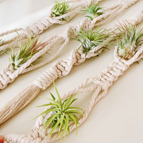 Elegant Macrame Plant Wall Hanging Bowlift