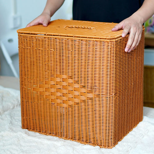 Women's woven basket with lid and side handles Bowlift