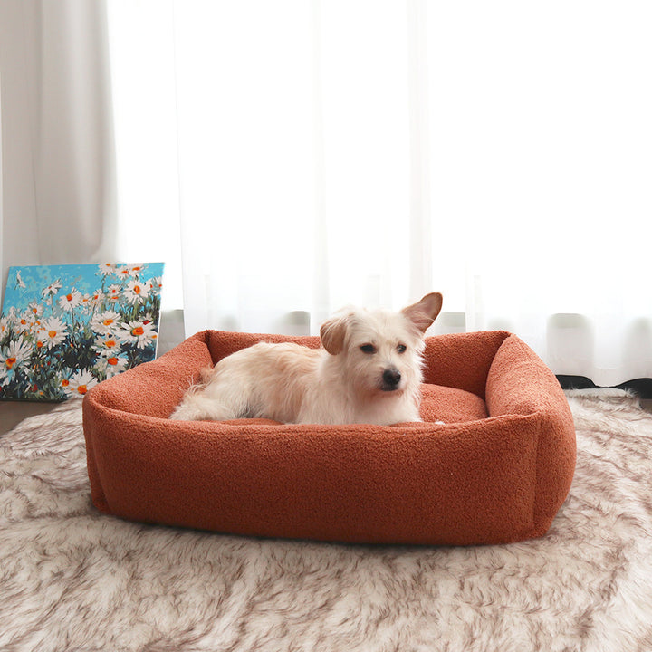Cozy Bolstered dog Lounge