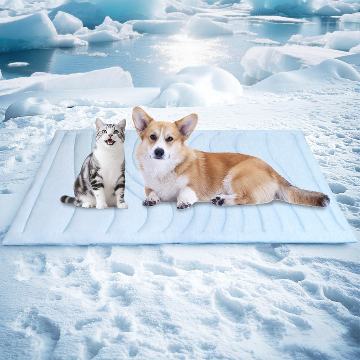 Tier Snuggle Blanket Bowlift