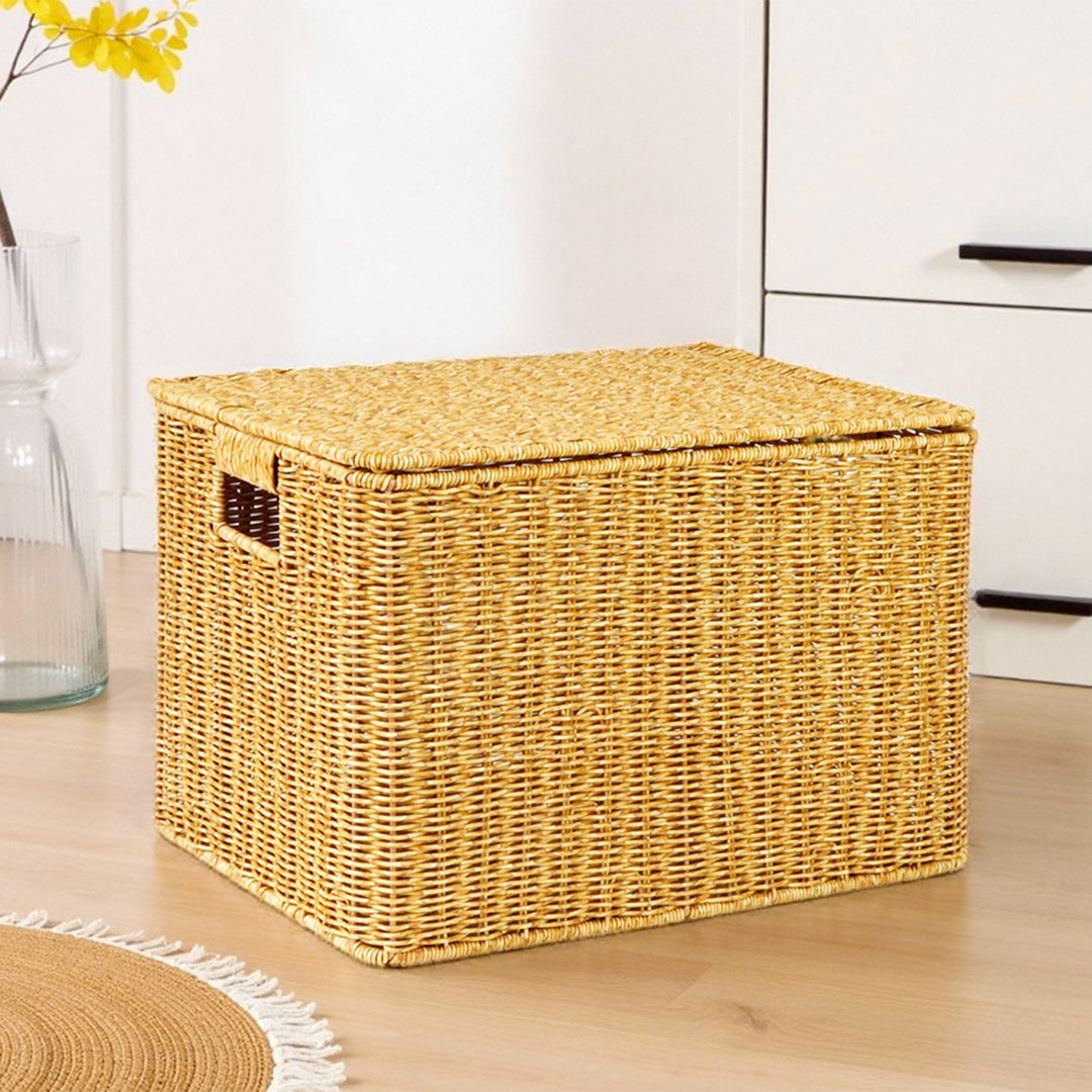 Ladies Generous Storage Basket with Lid Bowlift