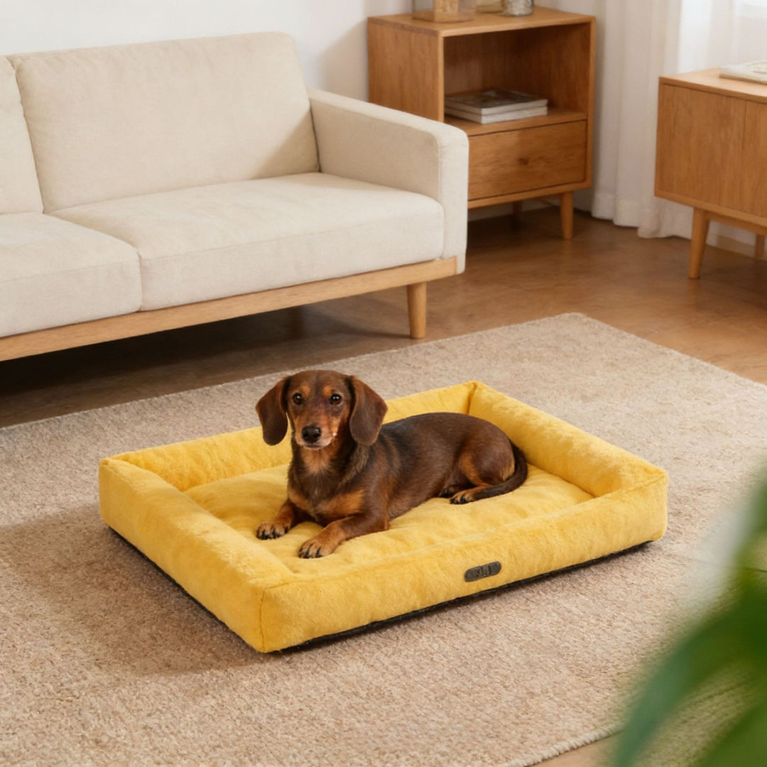 Durable Outdoor dog bed