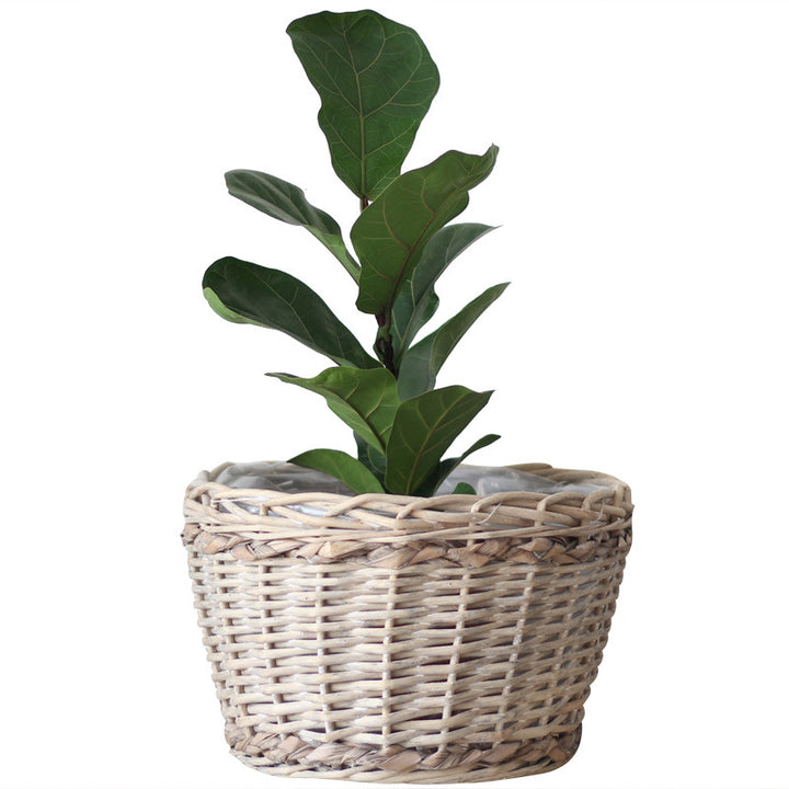 Rustic storage basket made of natural material Bowlift