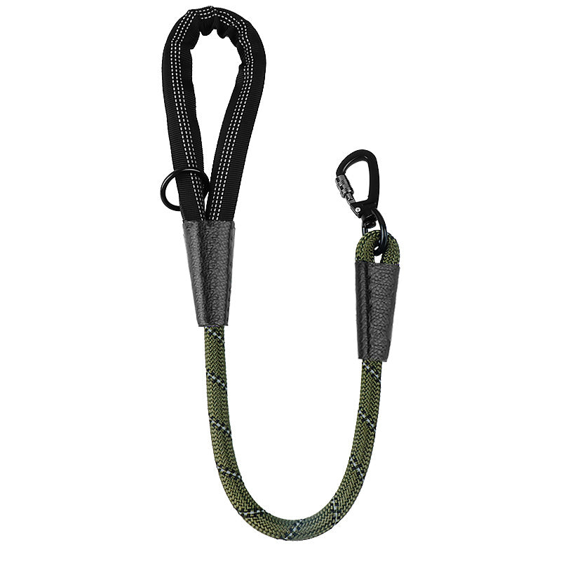 Dog Leash