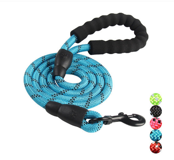Dog Leash