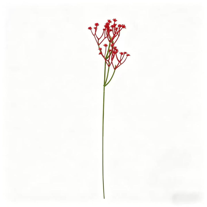 Unisex nan filigree deco flower stem with fine panicles and long stem Bowlift