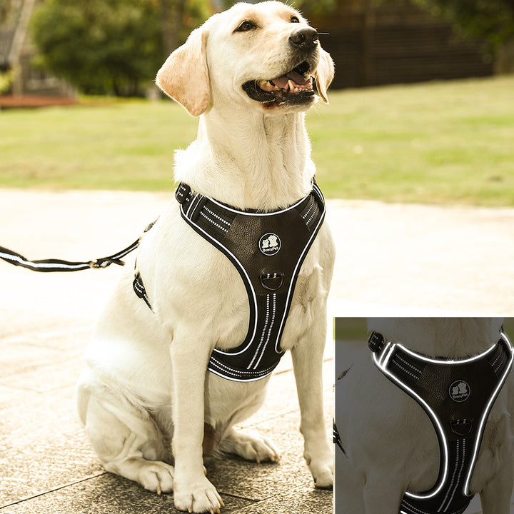 Padded Pet Harness