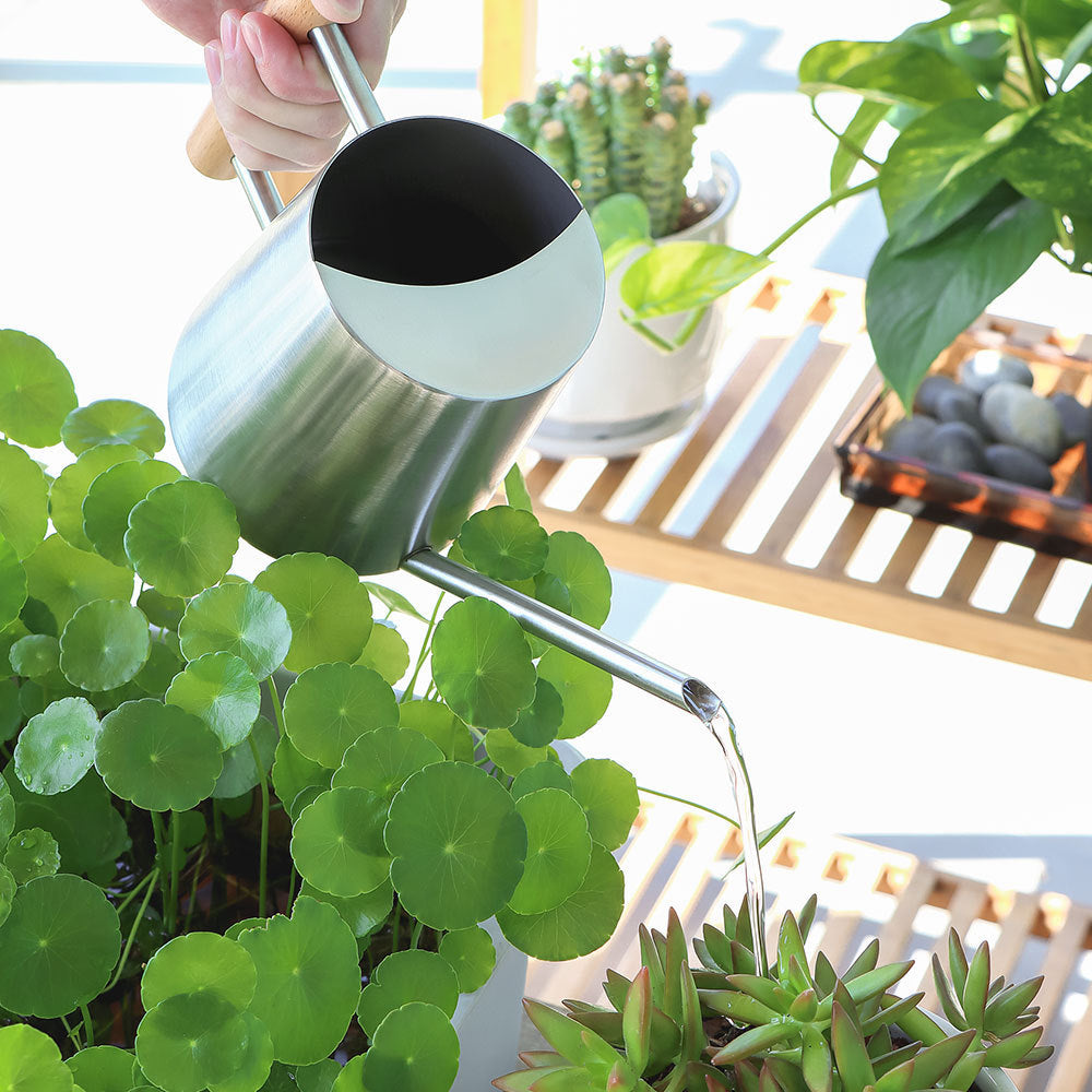 Premium Stainless Steel Watering Can