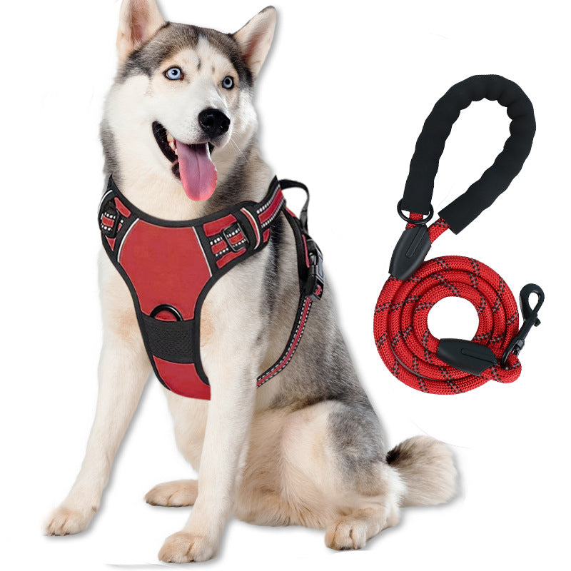Comfortable Adjustable Dog Harness and Leash Set