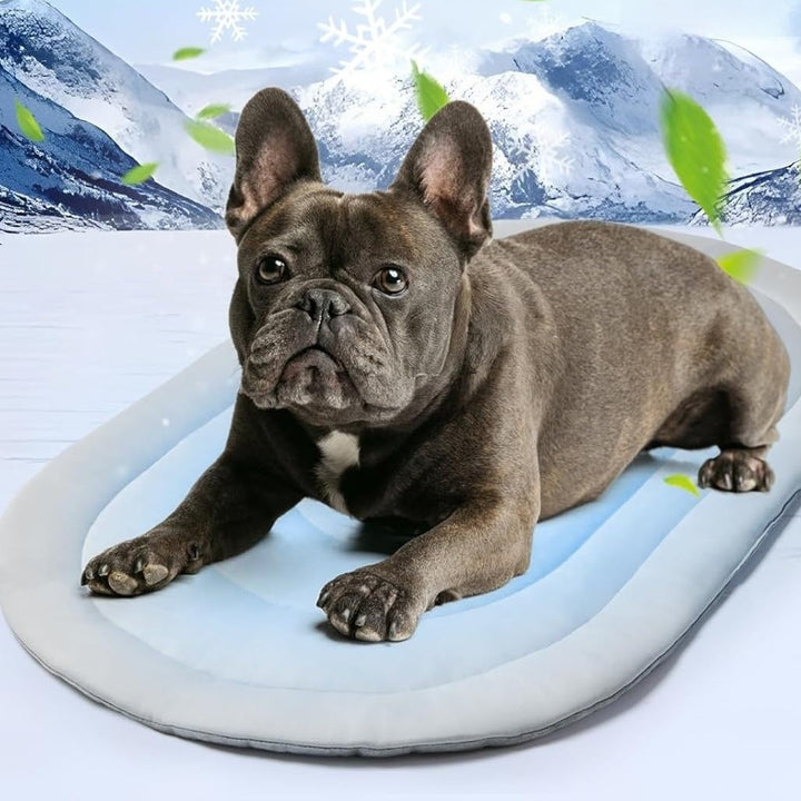 Unisex Pet Bed with Ergonomic Padding Bowlift