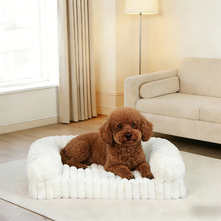 Elegant Bolstered dog Sofa