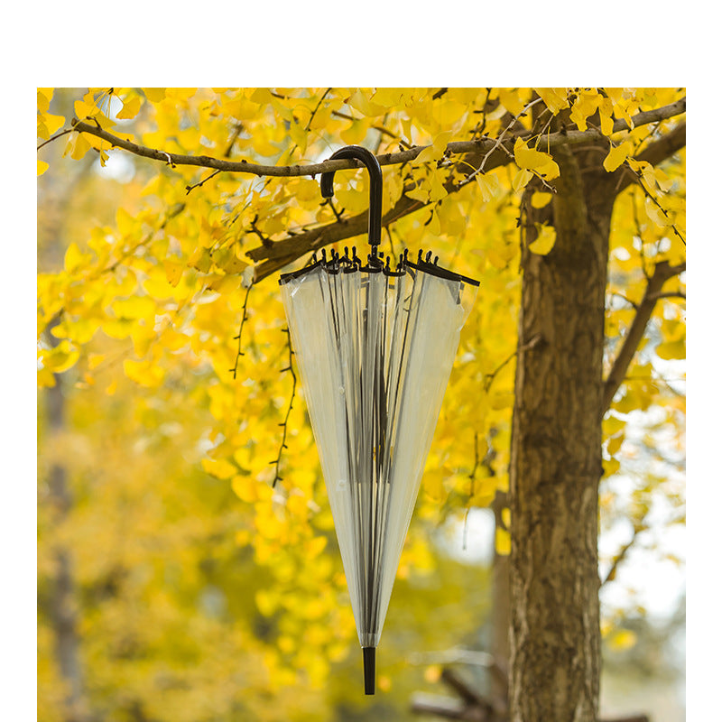 Ladies transparent rain umbrella Bowlift