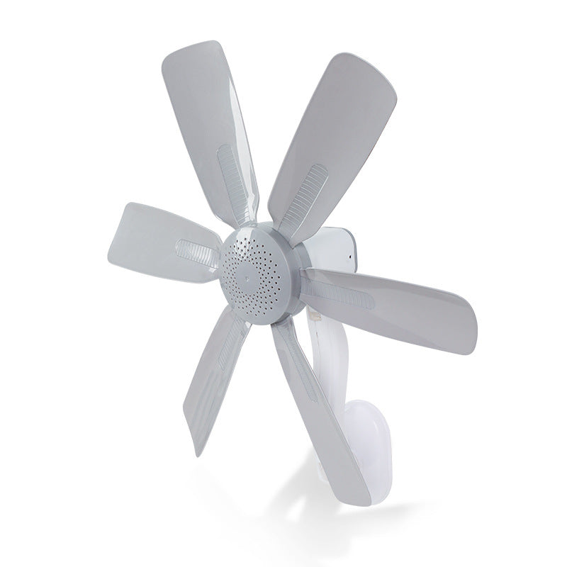 Ladies wall fan with quiet fan blades and stylish design Bowlift