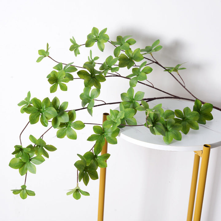 Decorative Green Plant