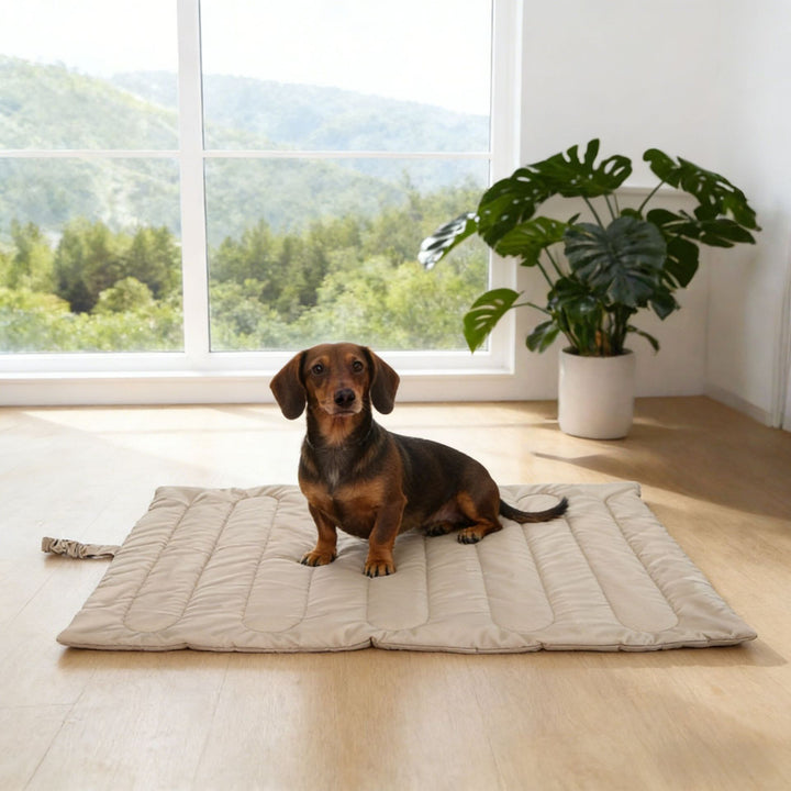 Premium Quilted dog Sleeping Mat