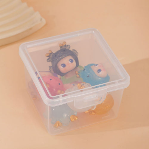 Multi-Functional Transparent Storage Box Bowlift