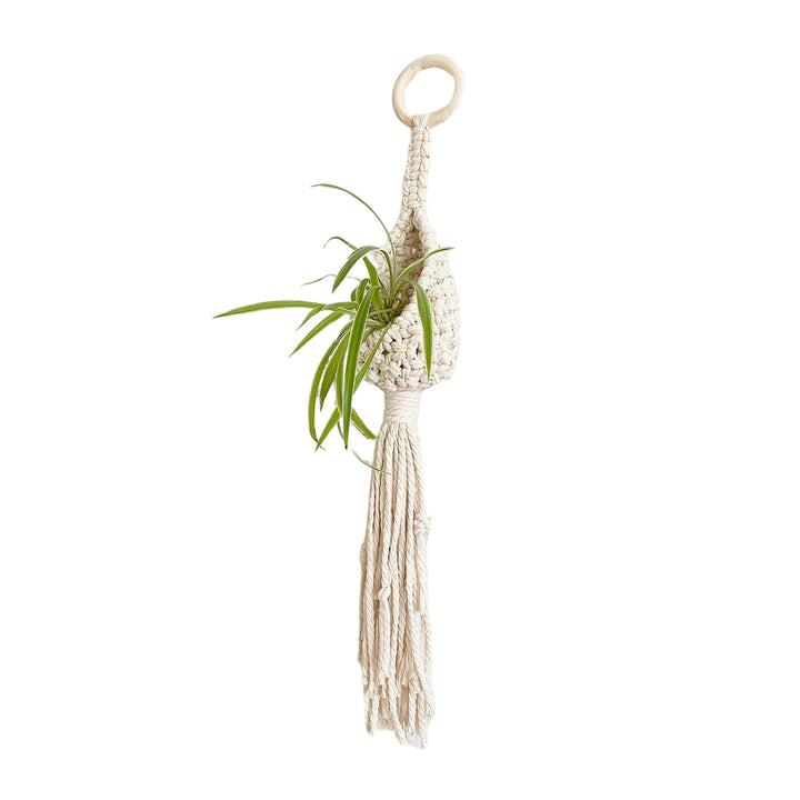 Bohemian Plant Holder Bowlift