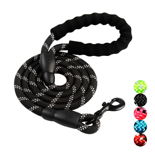 Dog Leash