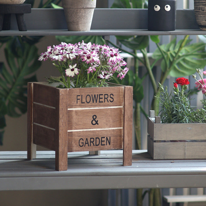 Decorative Plant Container Bowlift