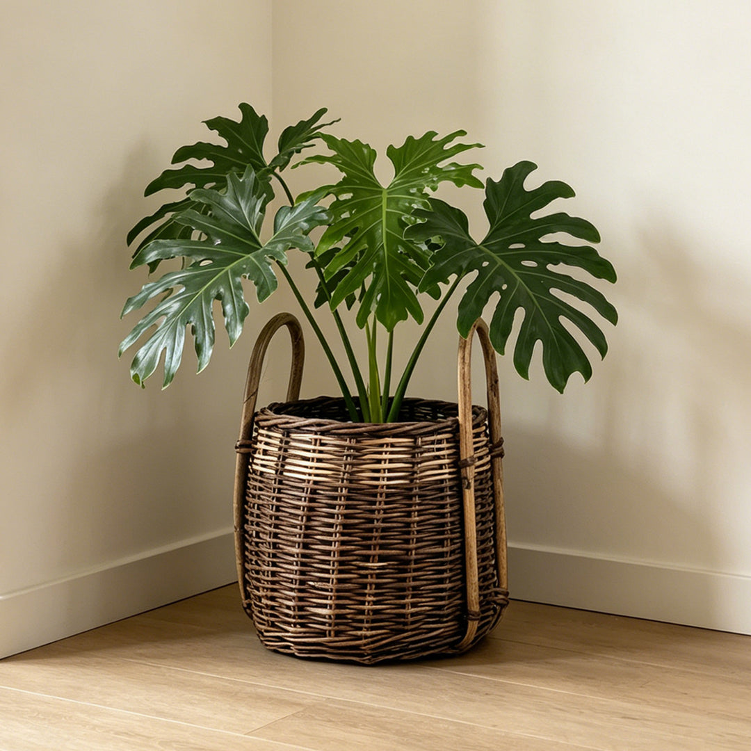 Handcrafted storage basket with natural fiber Bowlift