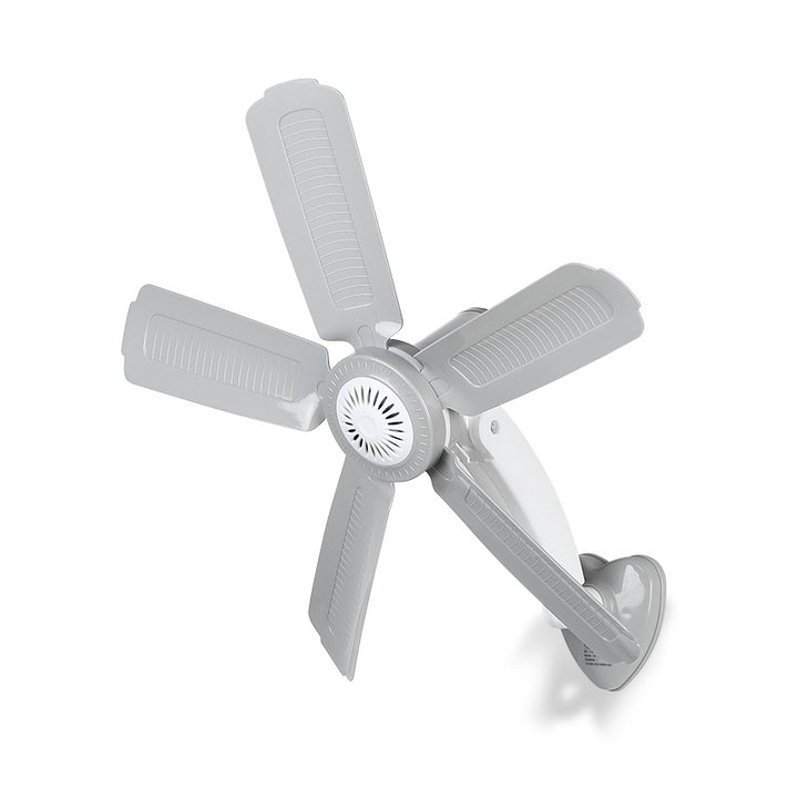 Ladies Wall Fan with Variable Speed Bowlift