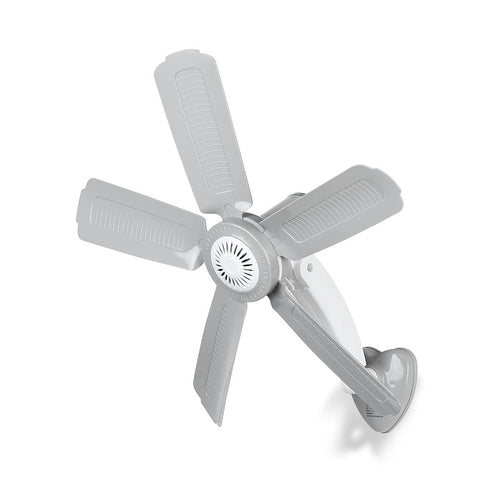 Ladies Wall Fan with Variable Speed Bowlift