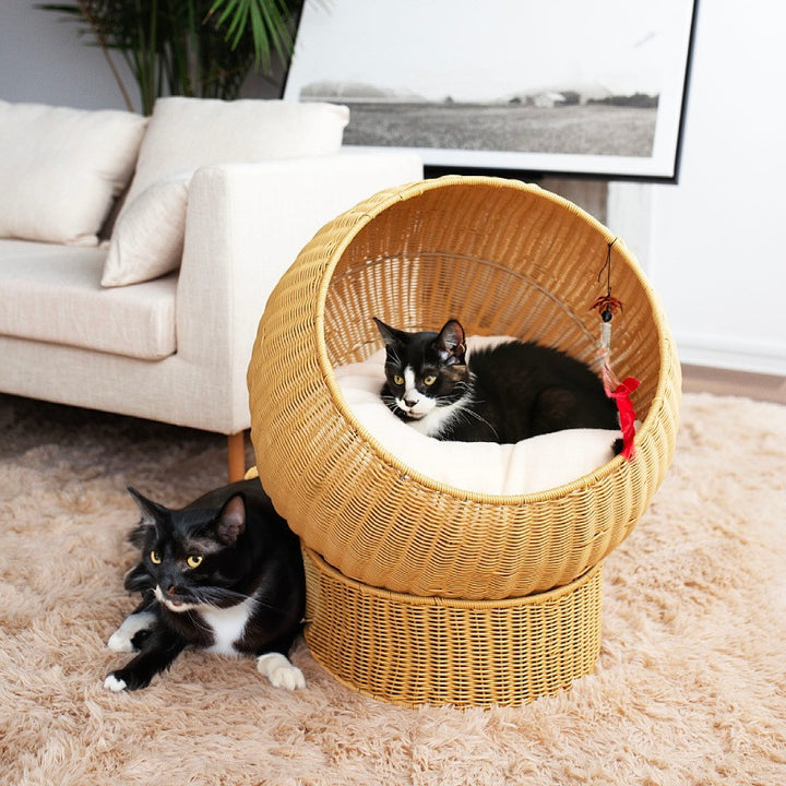 Cat bed with Modern Design Bowlift