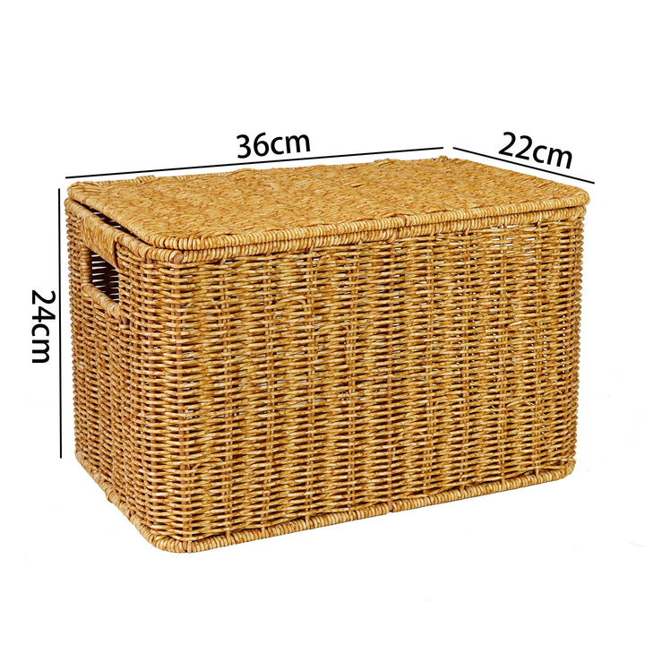 Ladies Generous Storage Basket with Lid Bowlift