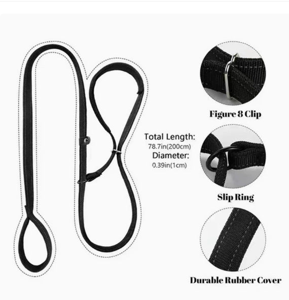 Pet Leash
