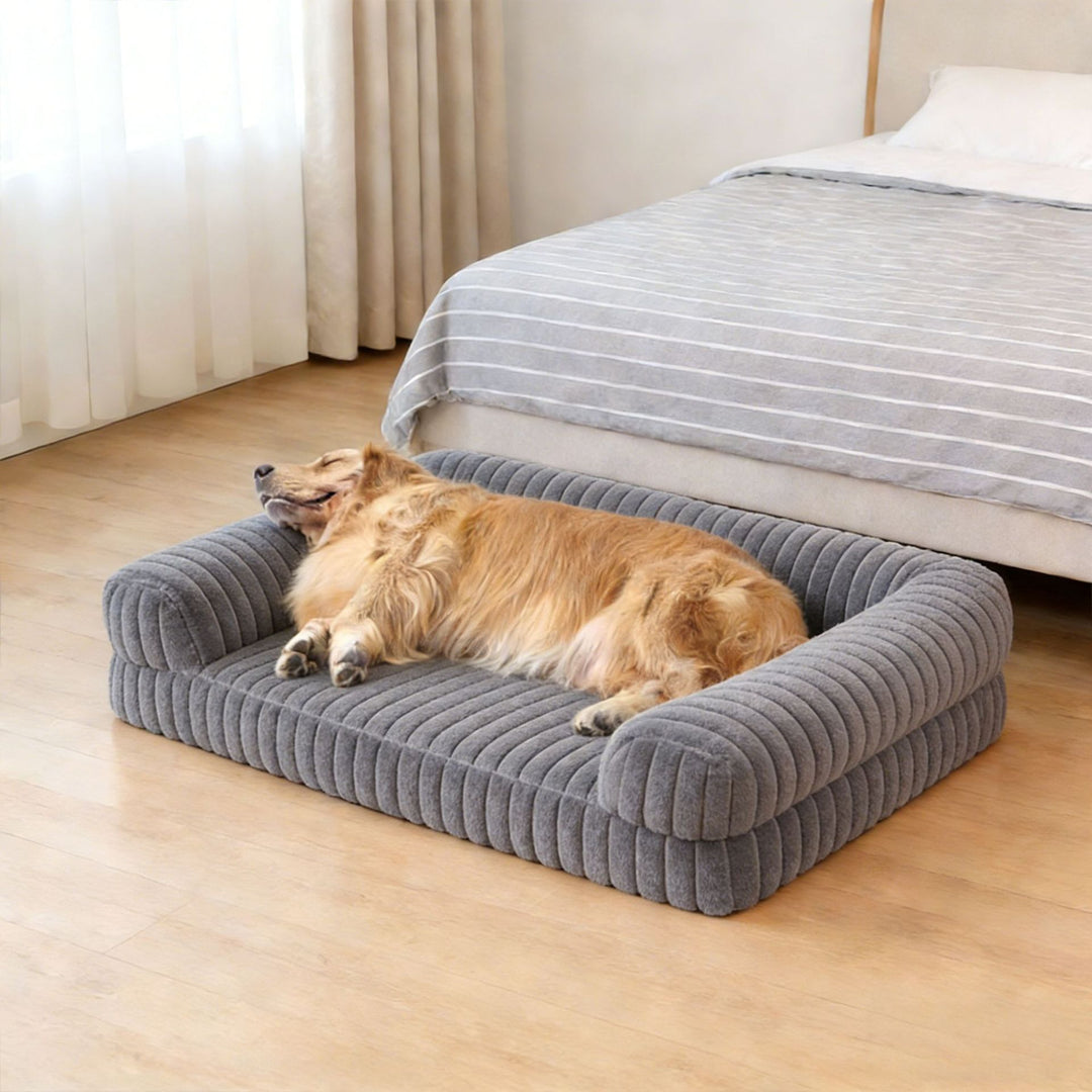 Elegant Bolstered dog Sofa