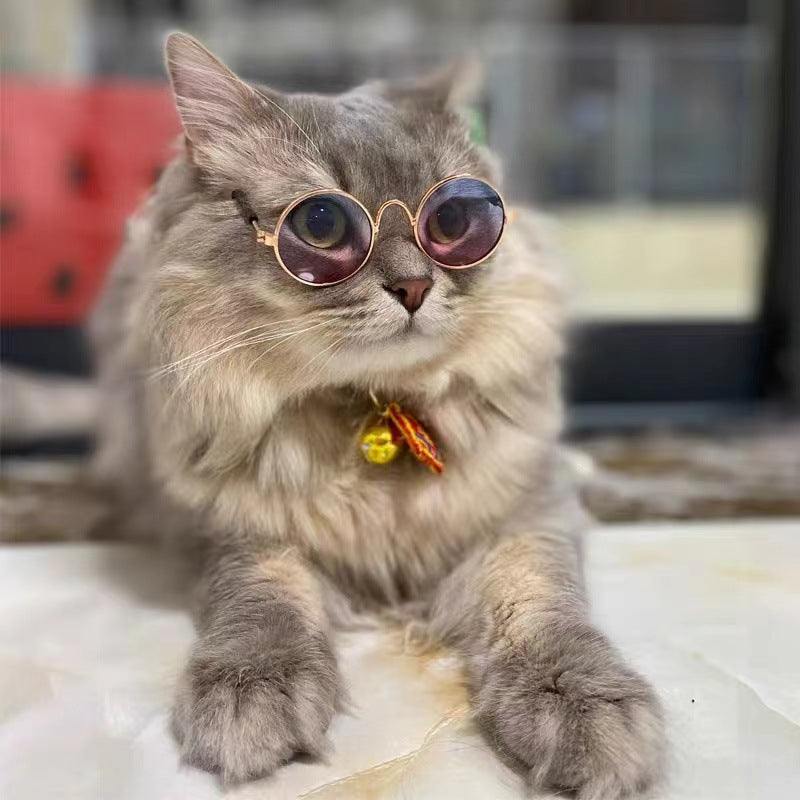 Women's fashionable round glasses Bowlift