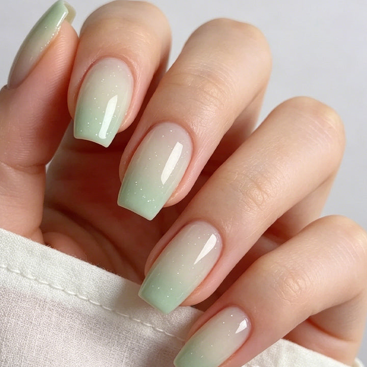 Ombre Gel Nail Art Kit Bowlift