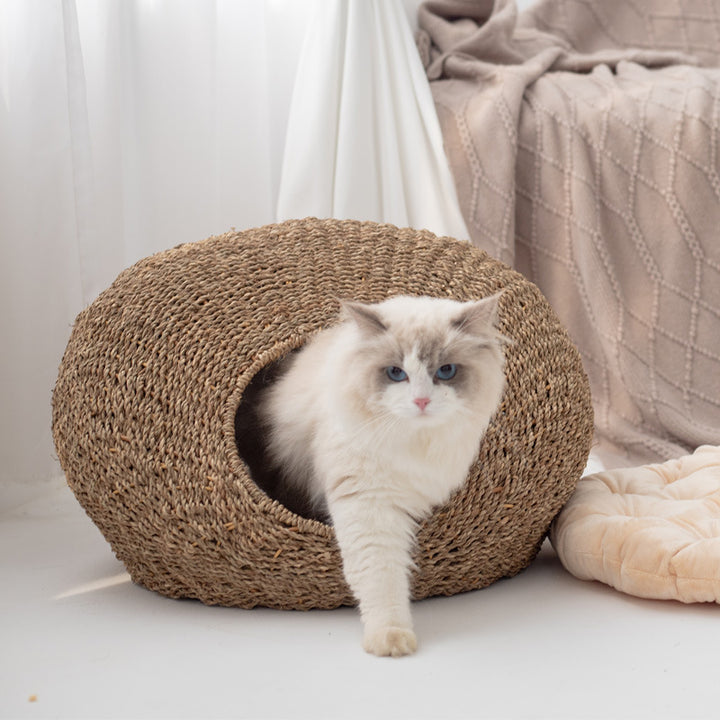 Cat cave Bowlift